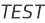 TEST